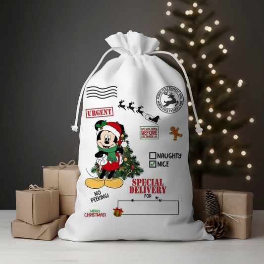 Delivery Boy Mouse Santa Sack