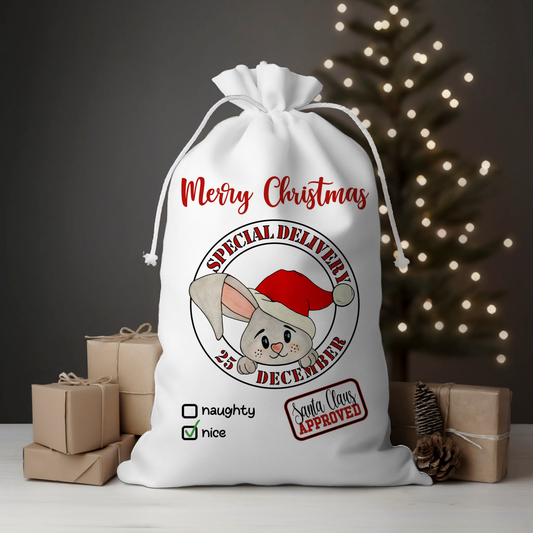 Delivery Bunny Santa Sack