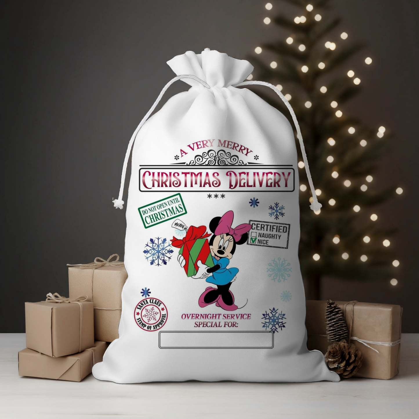 Delivery Female Mouse Santa Sack