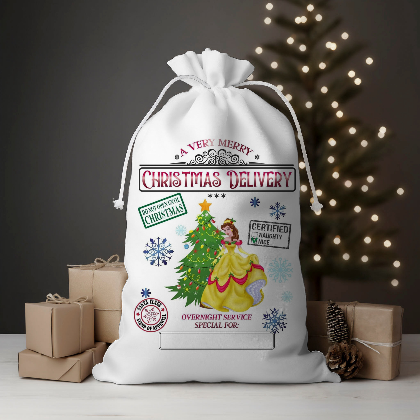 Delivery Princess Santa Sack