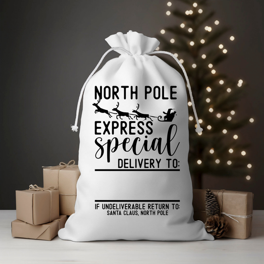 Express Mail Special Sleigh Sky Santa Sack