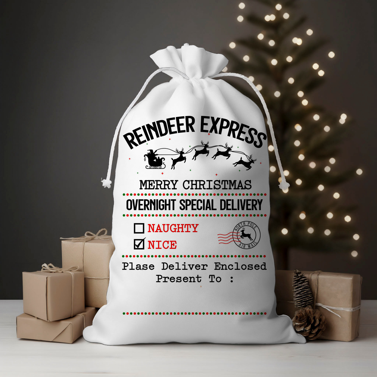 Nice Express Santa Sack