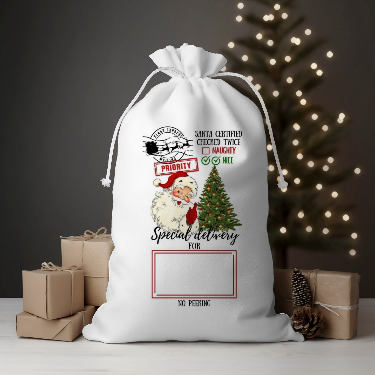 Priority Special Delivery Santa Sack