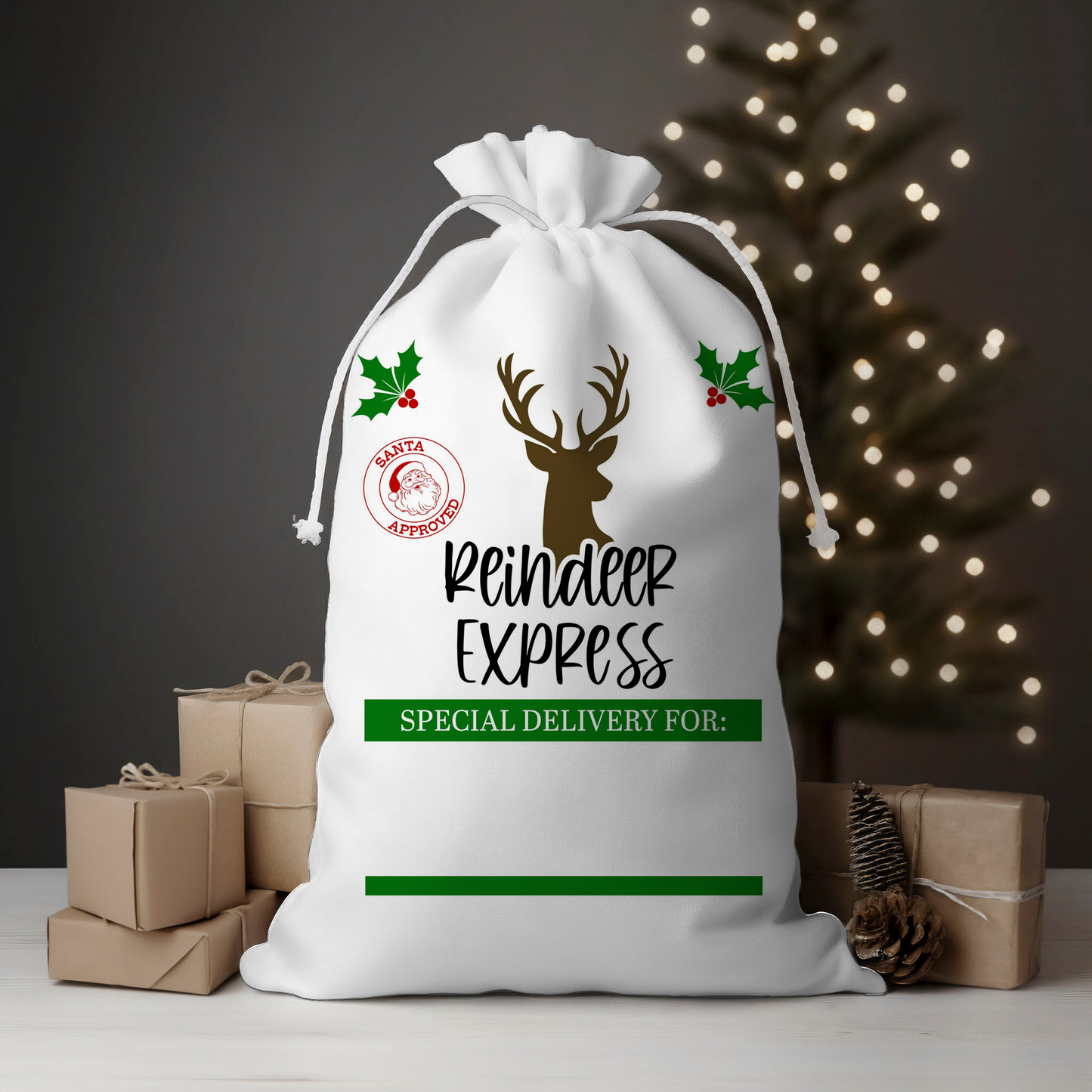 Reindeer Express Deer Mistletoe Santa Sack