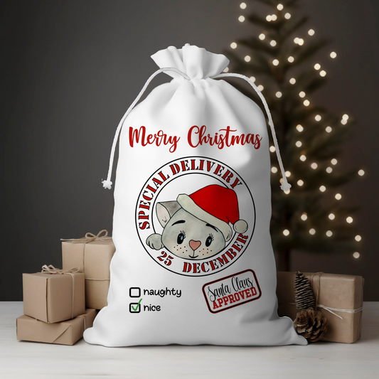 Special Delivery Mouse Santa Sack