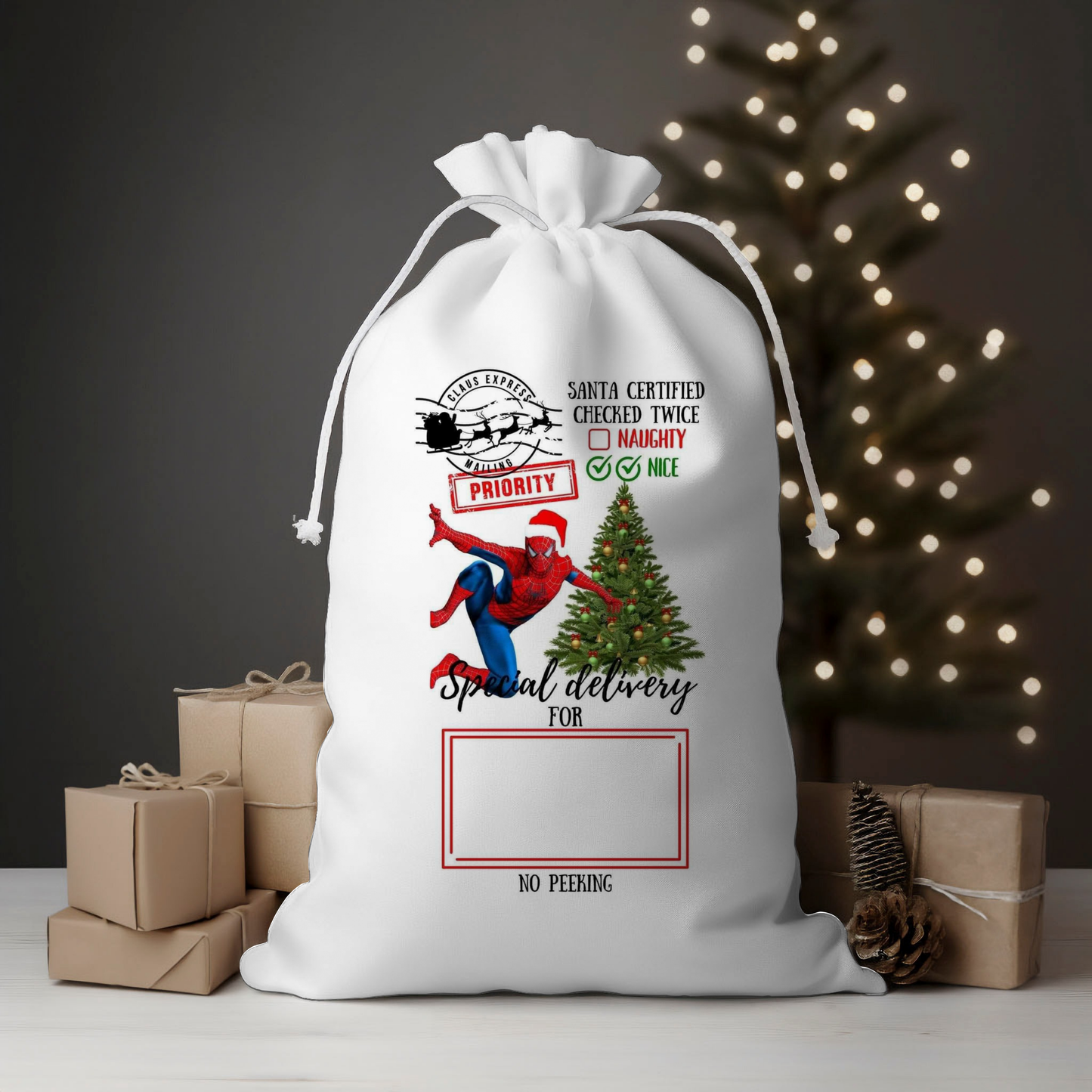 Special Delivery Spider Santa Sack